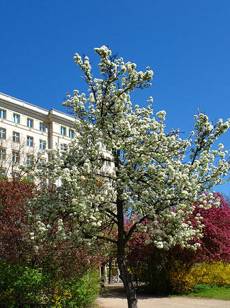 Fotos Frühling | 