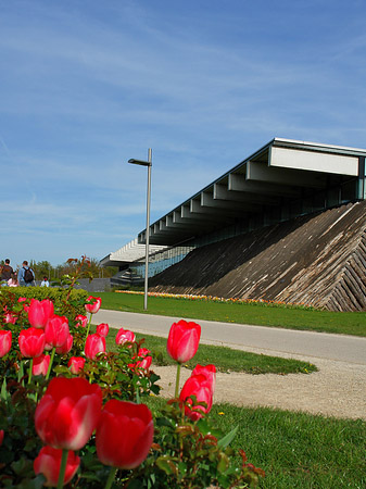 Fotos Bundesgartenschau
