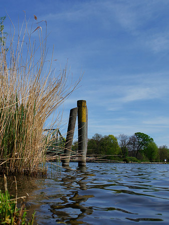 Brücke mit Ufer Foto 