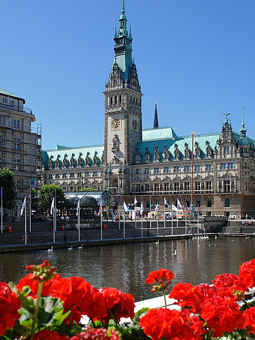 Fotos Rathaus mit Alsterfleet | Hamburg