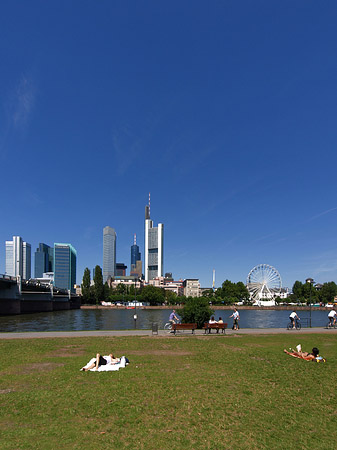Skyline von Frankfurt mit Sachsenhausener Ufer Fotos