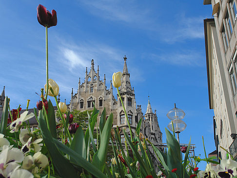 Neues Rathaus