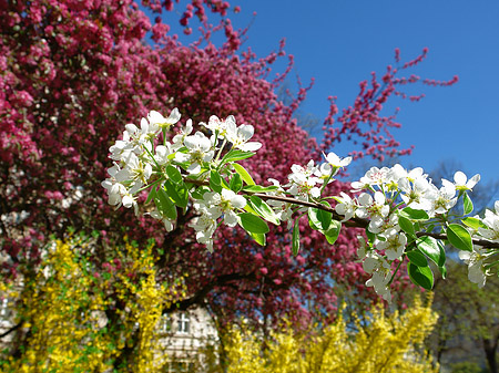 Fotos Frühling | 