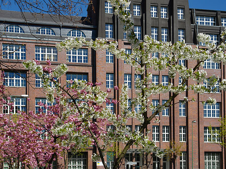 Foto Frühling