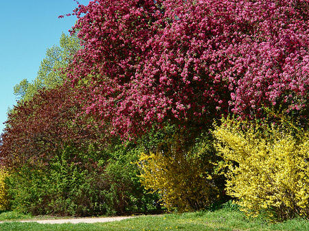 Fotos Frühling | 