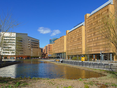 Foto Ökologischer See - Berlin