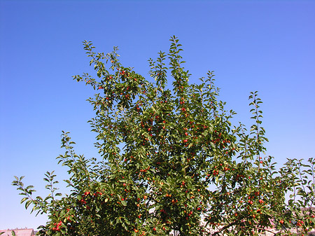 Fotos Wohnhäuser Media Spree