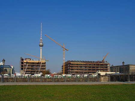 Foto Palast der Republik und der Fernsehturm