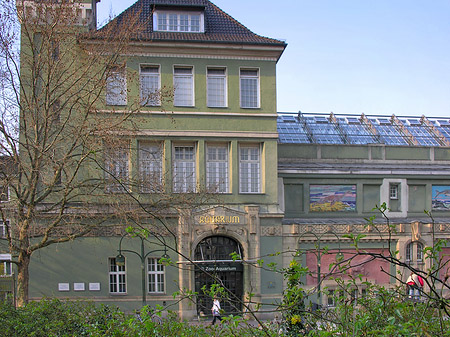 Eingang zum Zoo Foto 
