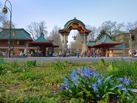 Foto Eingang mit Wiese