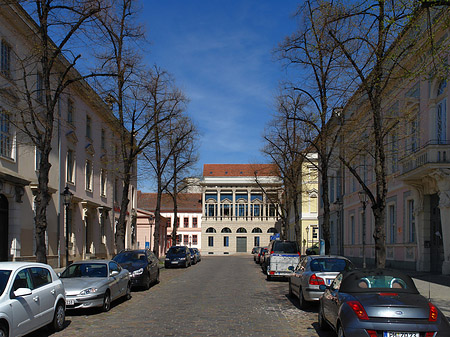 Fotos Straße zum Neuen Markt
