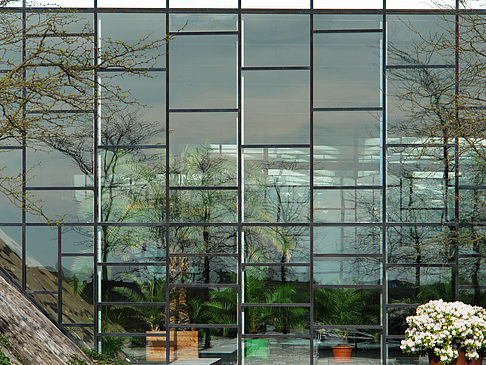 Fotos Bundesgartenschau | Potsdam