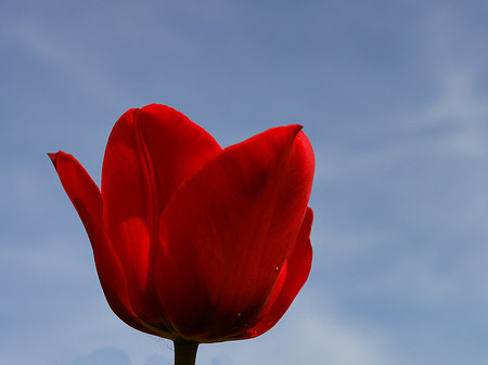 Bundesgartenschau Foto 