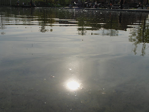 Bundesgartenschau Foto 