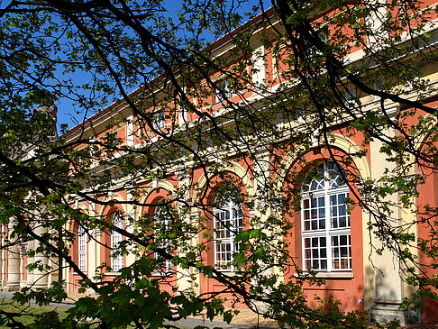 Foto Bäume am Filmmuseum
