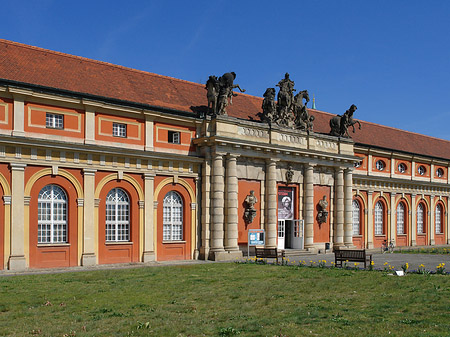 Fotos Filmmuseum mit Wiese | Potsdam