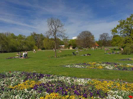 Foto Liegewiese