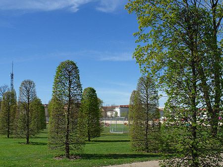 Spielwiese