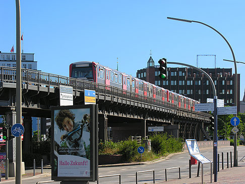 Baumwall Fotos