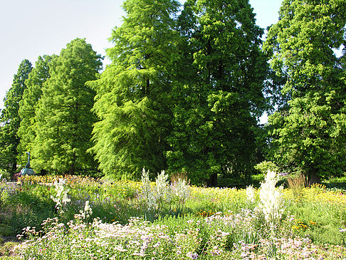 Fotos Planten un Blomen - Gärten