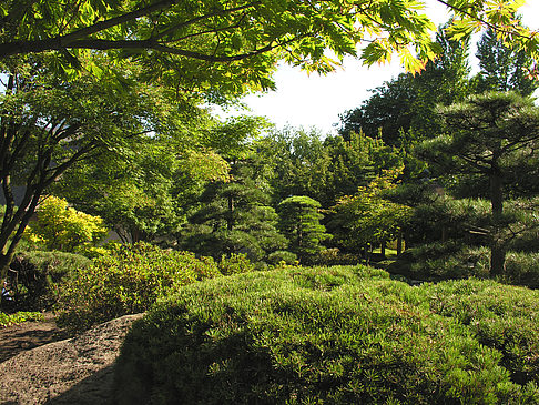 Planten un Blomen - Japanischer Garten Fotos