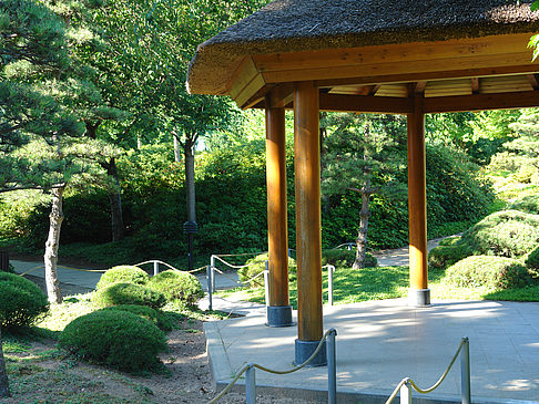 Fotos Planten un Blomen - Japanischer Garten