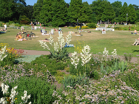 Fotos Planten un Blomen - Wiese am Parksee