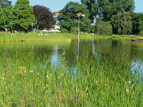 Planten un Blomen - Wiese am Parksee