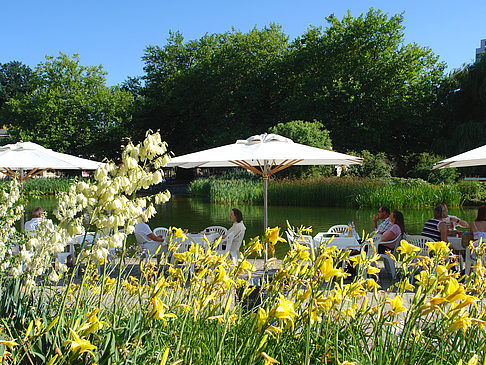 Fotos Planten un Blomen - Wiese am Parksee | Hamburg