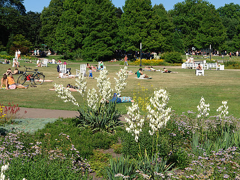 Planten un Blomen - Wiese am Parksee
