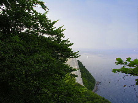 Königsstuhl Kreidefelsen