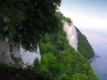Foto Königsstuhl Kreidefelsen