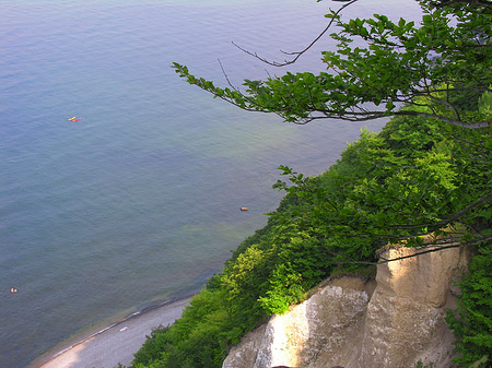 Königsstuhl Kreidefelsen Foto 