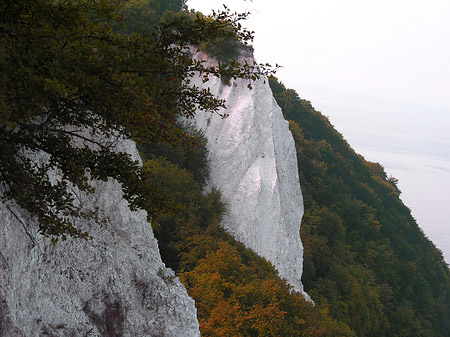 Königsstuhl Kreidefelsen Foto 