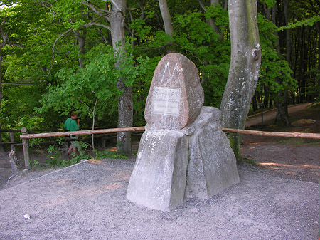 Kreidefelsen Foto 