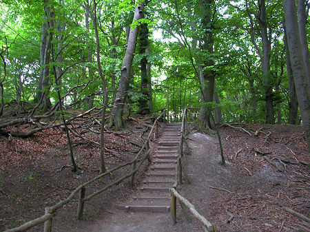 Foto Kreidefelsen Wanderweg - 