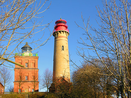 Bäume