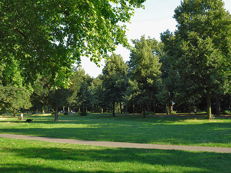 Foto Grünflächen in der Altstadt