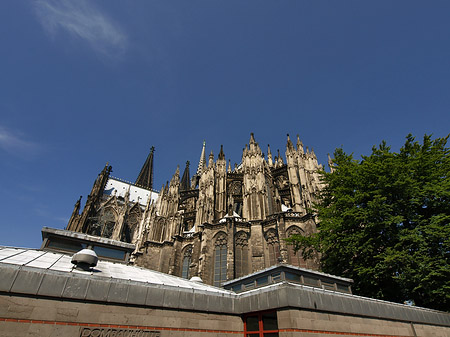 Fotos Kölner Dom mit Dombauhütte | Köln