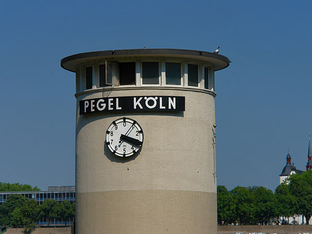 Foto Pegel Köln - Köln