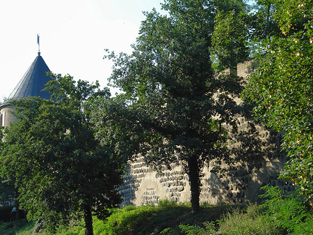 Stadtmauer und Sachsenturm am Sachsenring