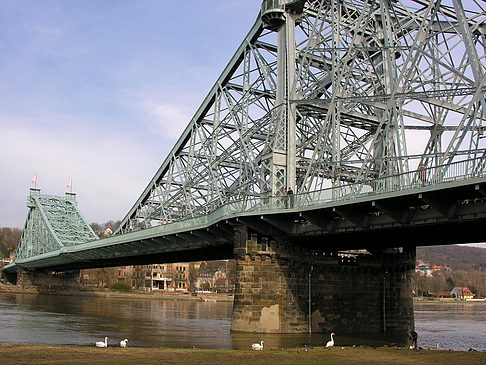 Foto Blaues Wunder - Dresden