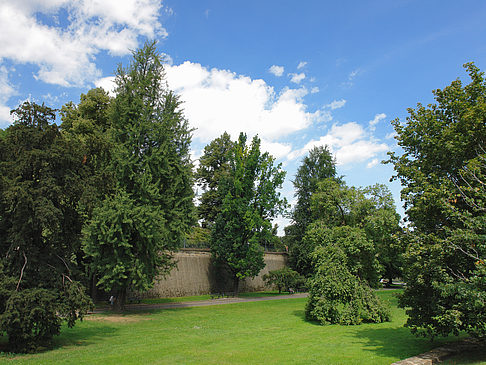 Foto Bärenzwinger