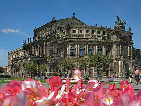 Foto Semperoper mit Blumen - Dresden