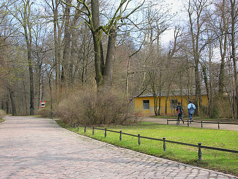 Großer Garten Fotos